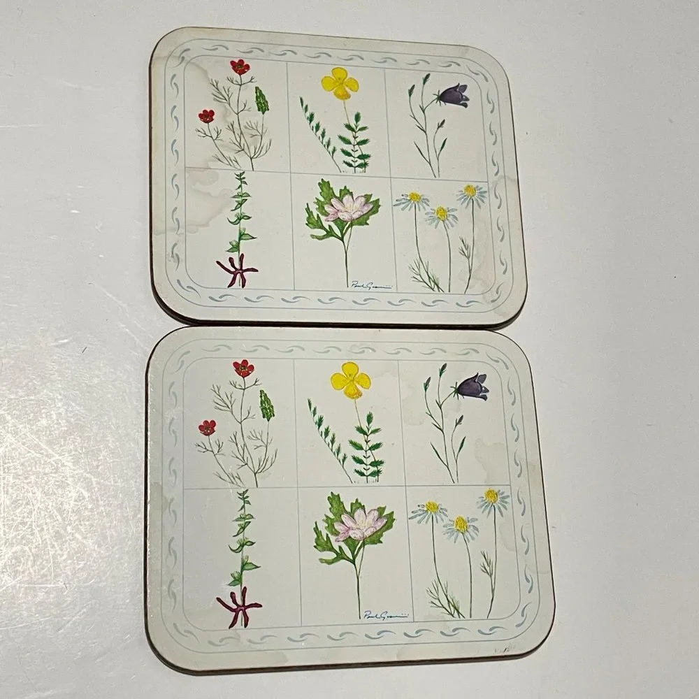 Vintage Jason Drink Coasters Flower Box Cork Backed Rectangle Set 6‎ New Zealand